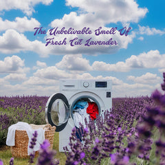 Laundry Detergent Sheets 40 Sheets - Lavender Bliss