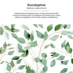 Hand Sanitizer Alcohol Free 5 Litre Eco Refill - Eucalyptus - Twostepscleaning