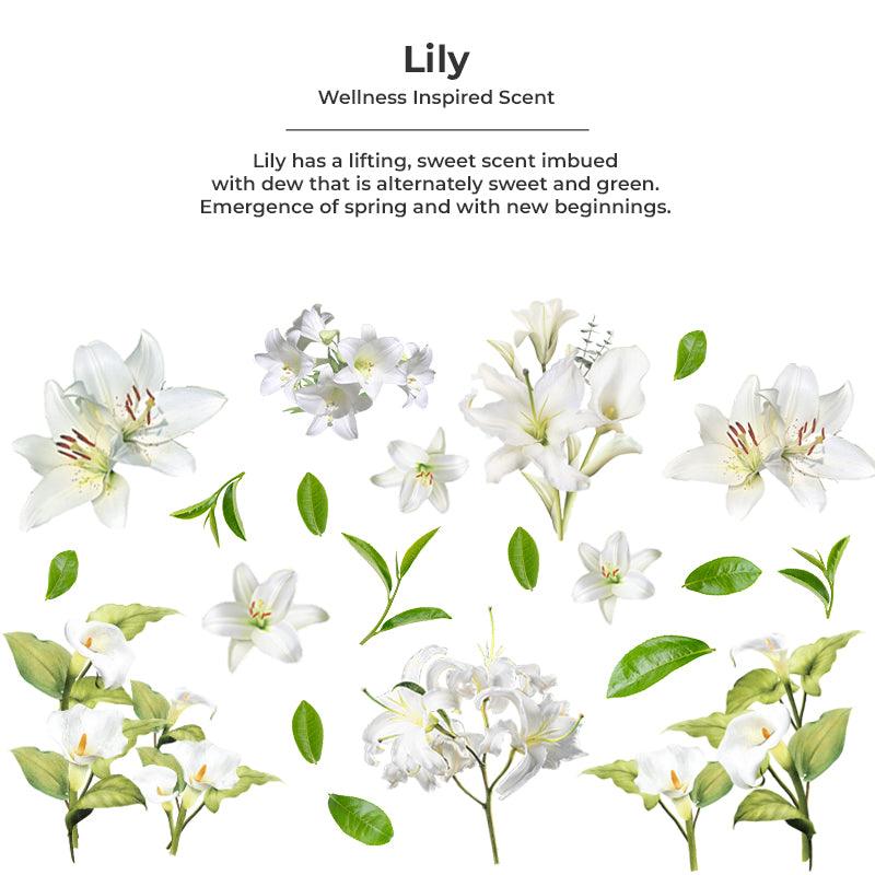 Hand Soap 5 Litre Eco Refill - Lily - Twostepscleaning